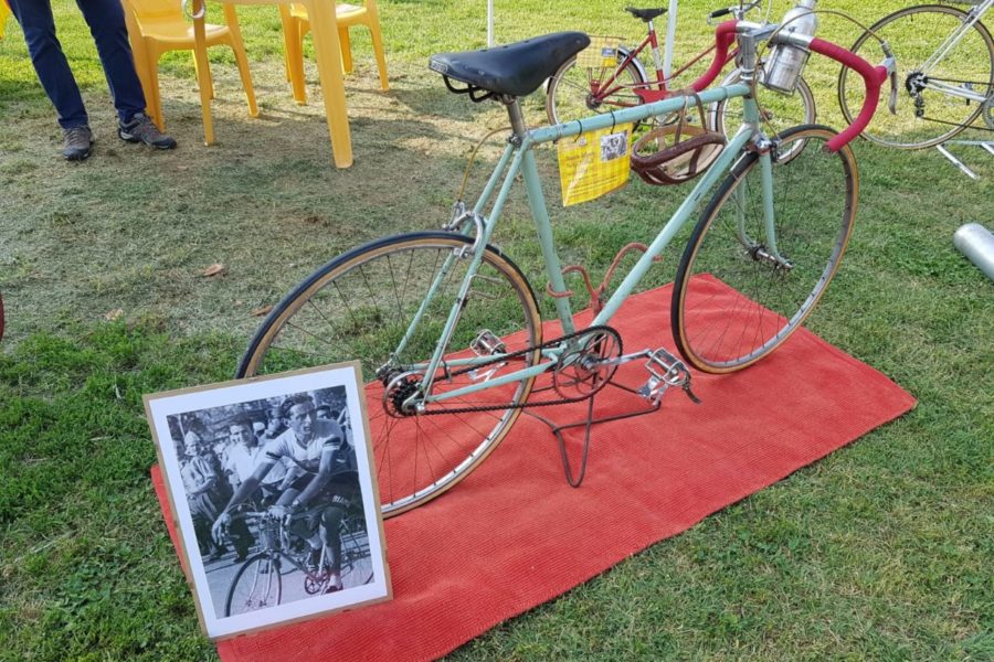 WhatsApp Image 2019-06-11 at 17.26.59 (1)