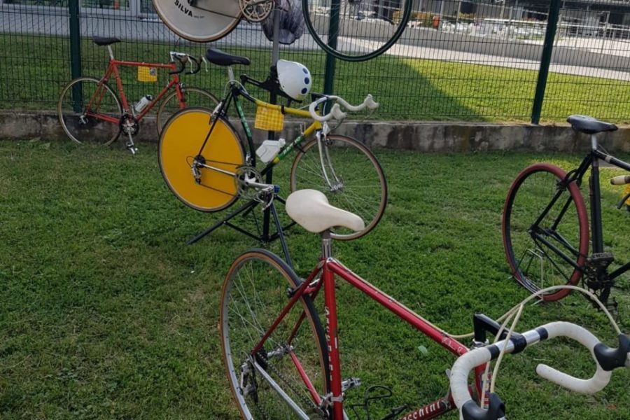 WhatsApp Image 2019-06-11 at 17.26.59 (2)