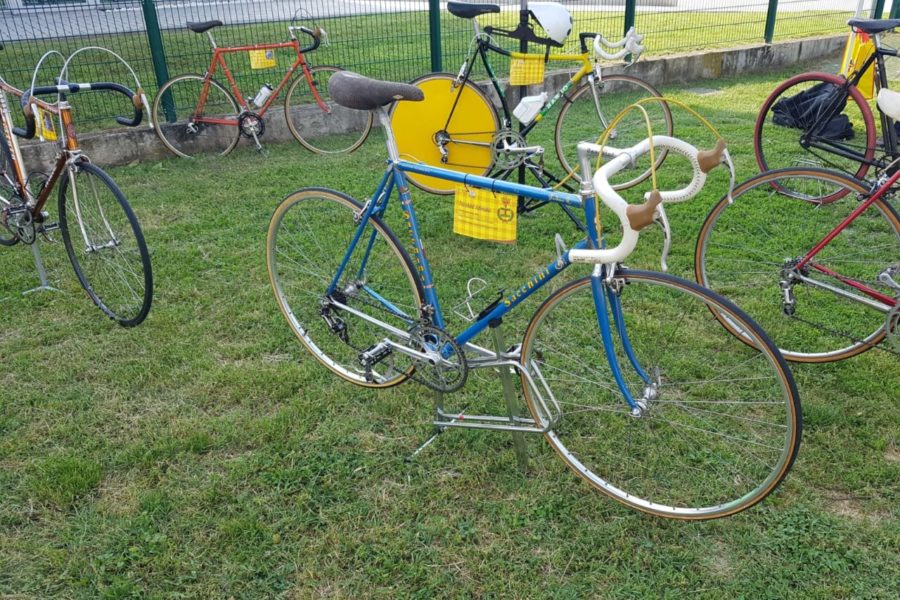 WhatsApp Image 2019-06-11 at 17.27.00 (1)