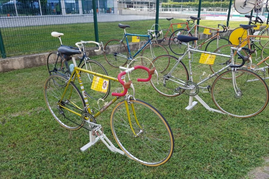 WhatsApp Image 2019-06-11 at 17.27.00 (2)