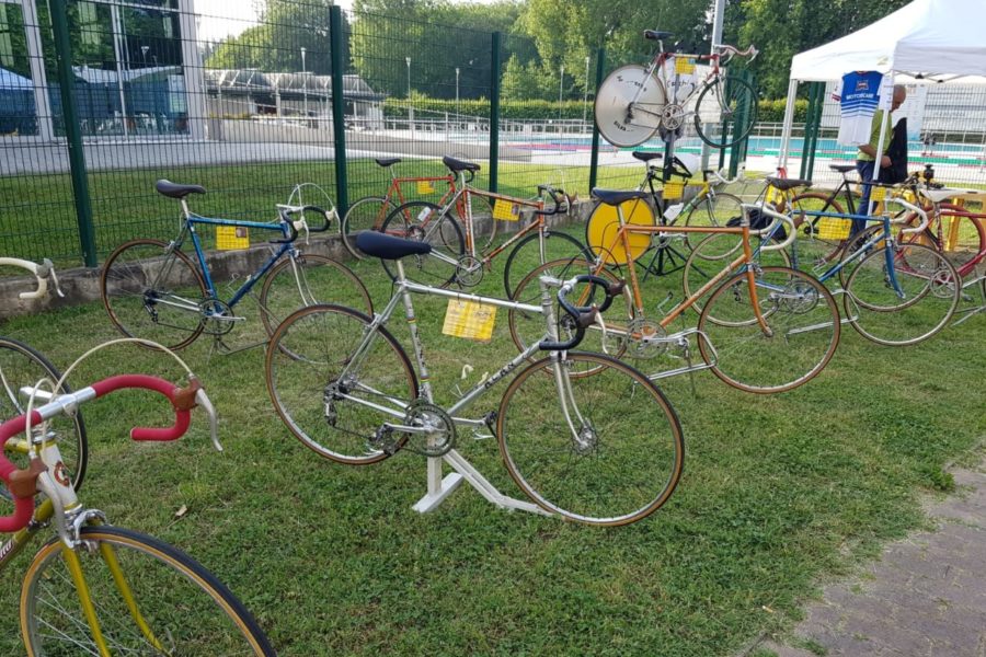 WhatsApp Image 2019-06-11 at 17.27.00