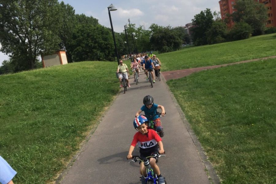 WhatsApp Image 2019-06-11 at 17.28.07 (1)