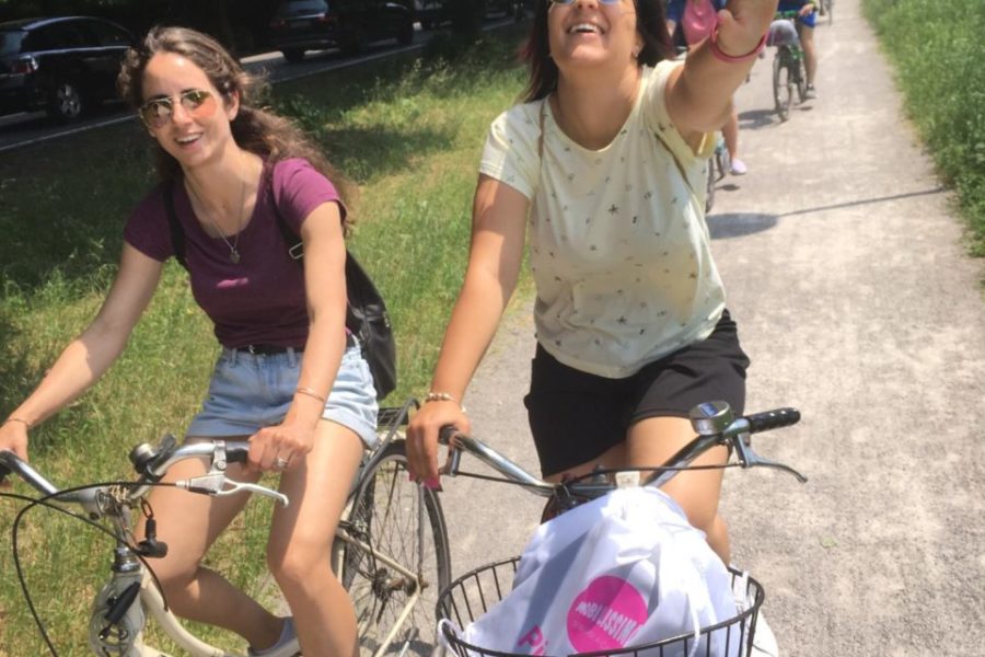 WhatsApp Image 2019-06-11 at 17.29.04 (1)