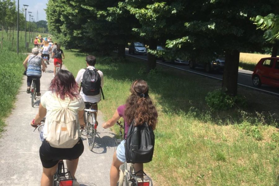 WhatsApp Image 2019-06-11 at 17.29.04 (2)