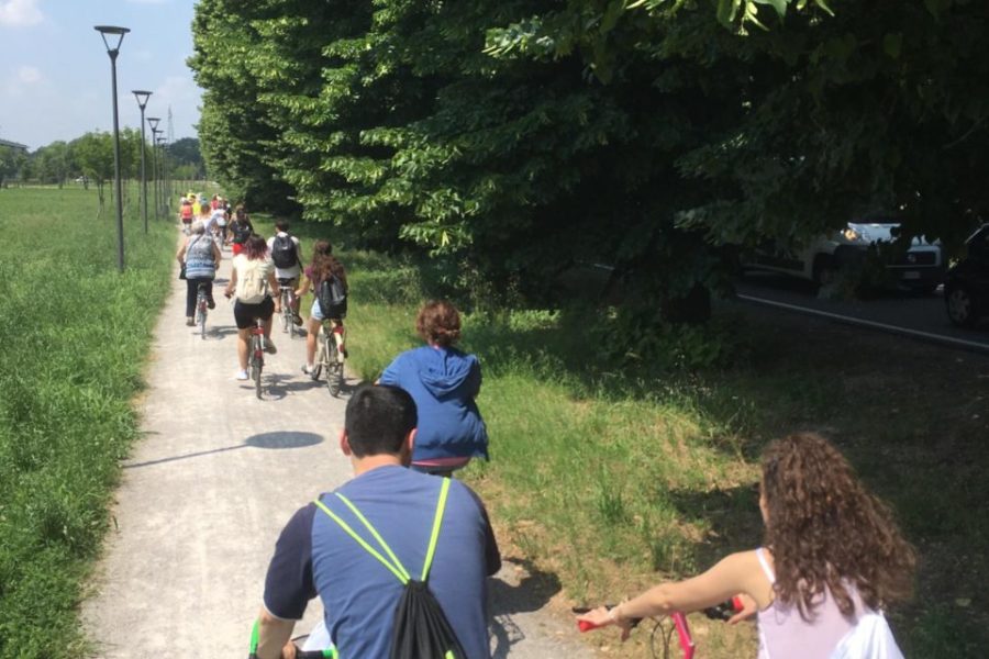 WhatsApp Image 2019-06-11 at 17.29.04 (3)