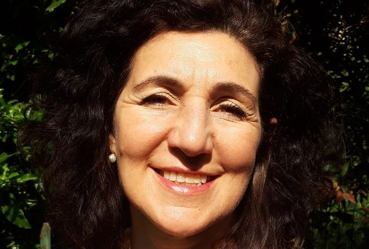 roberta cologni pittrice roberta cologni pittrice