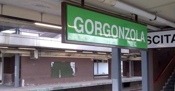 MM2 GORGONZOLA