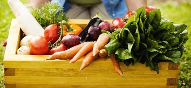 orto verdura cibo alimentazione