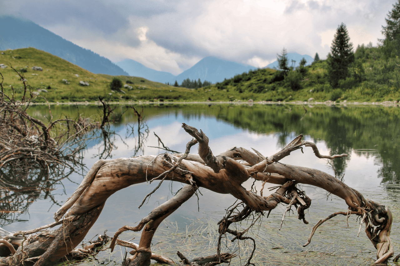 San simone - acqua - antonio coti zelati