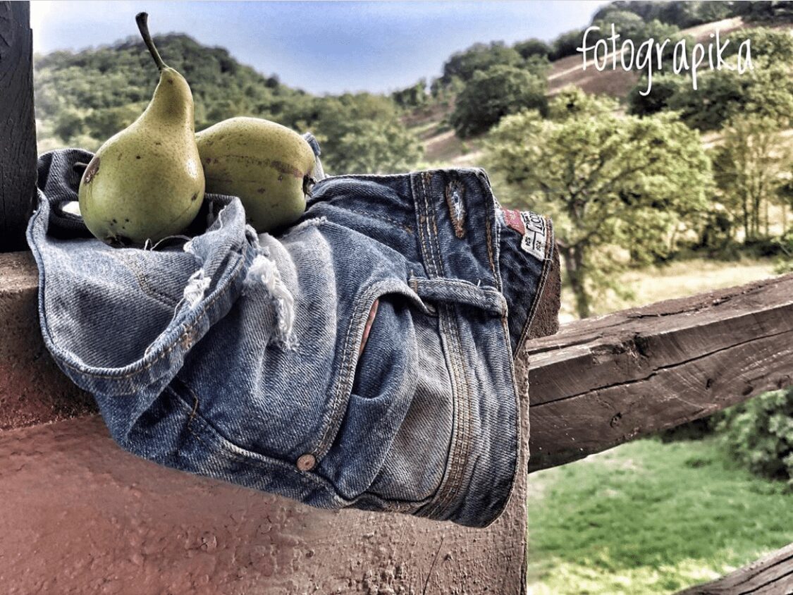 scansano, toscana 8terra) - barbara pappallettera