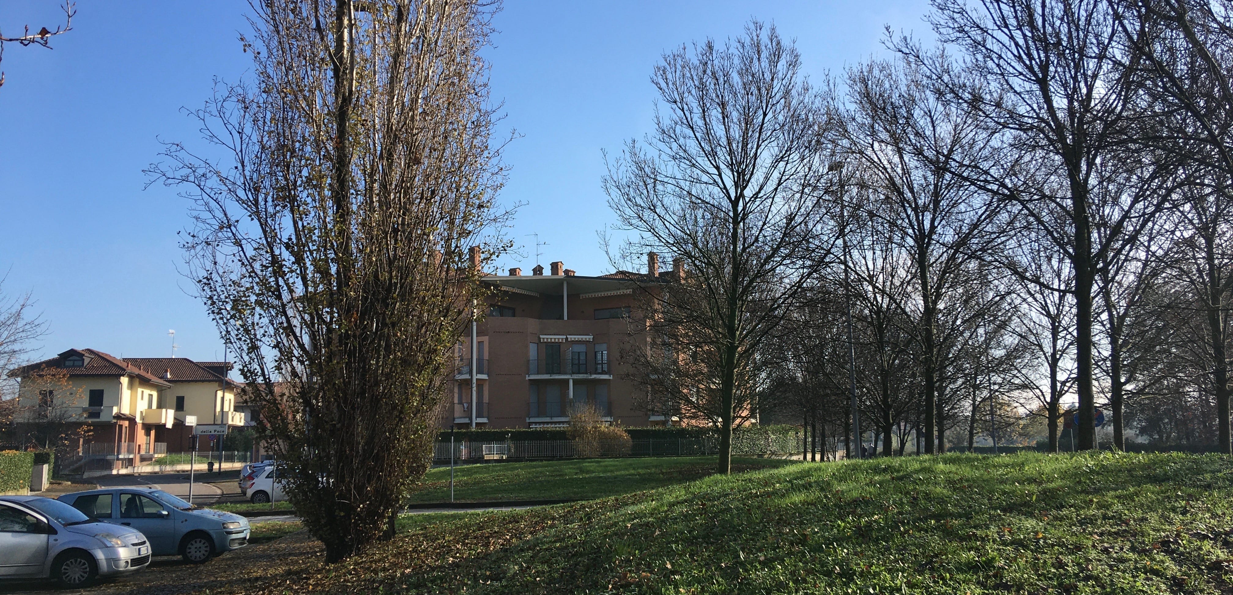 via falcone e borsellino - pessano