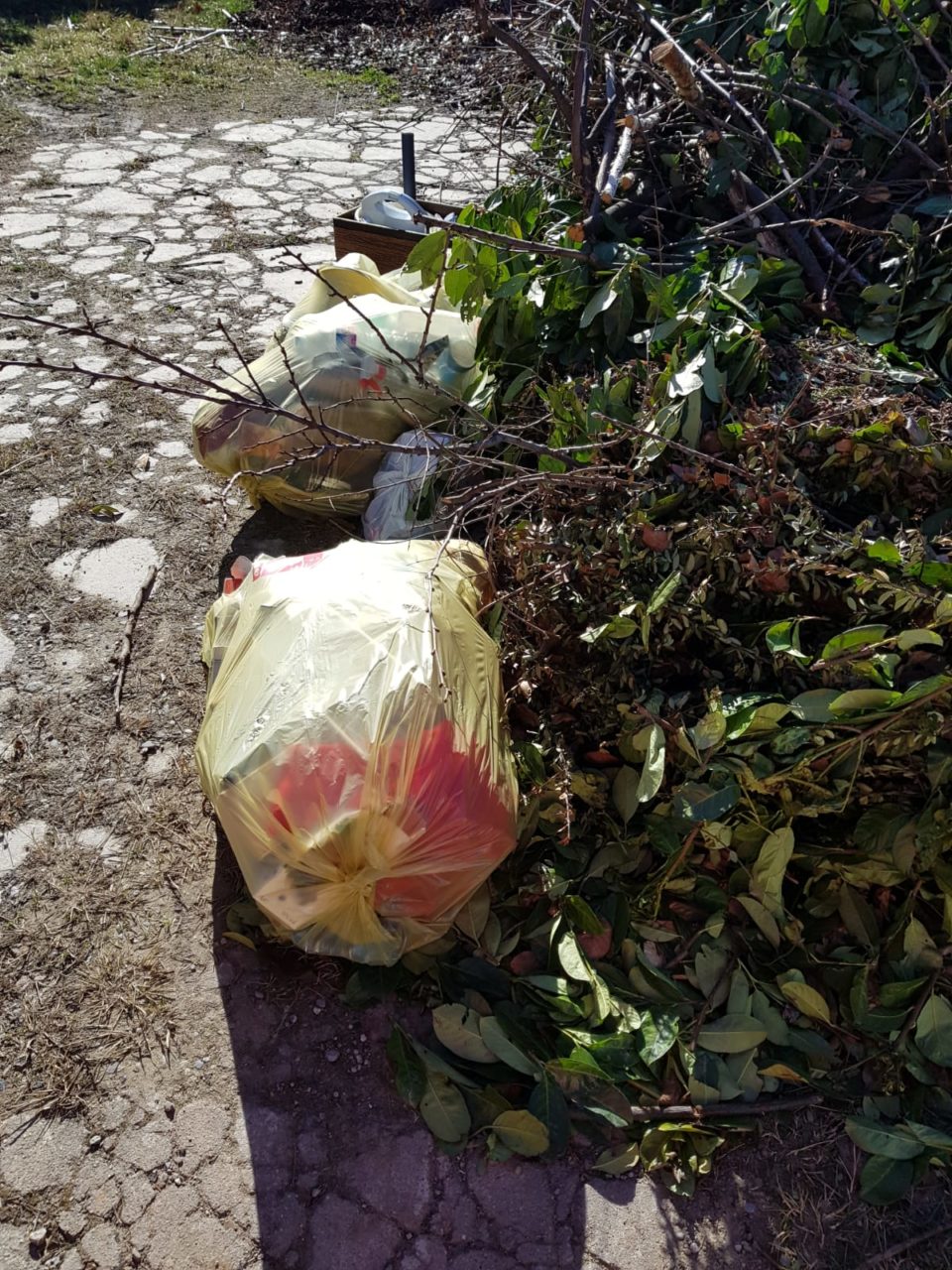 cascina bindellera 1