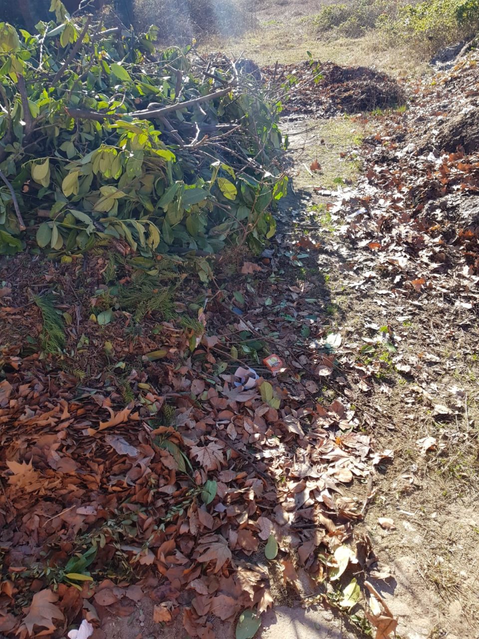 cascina bindellera 3