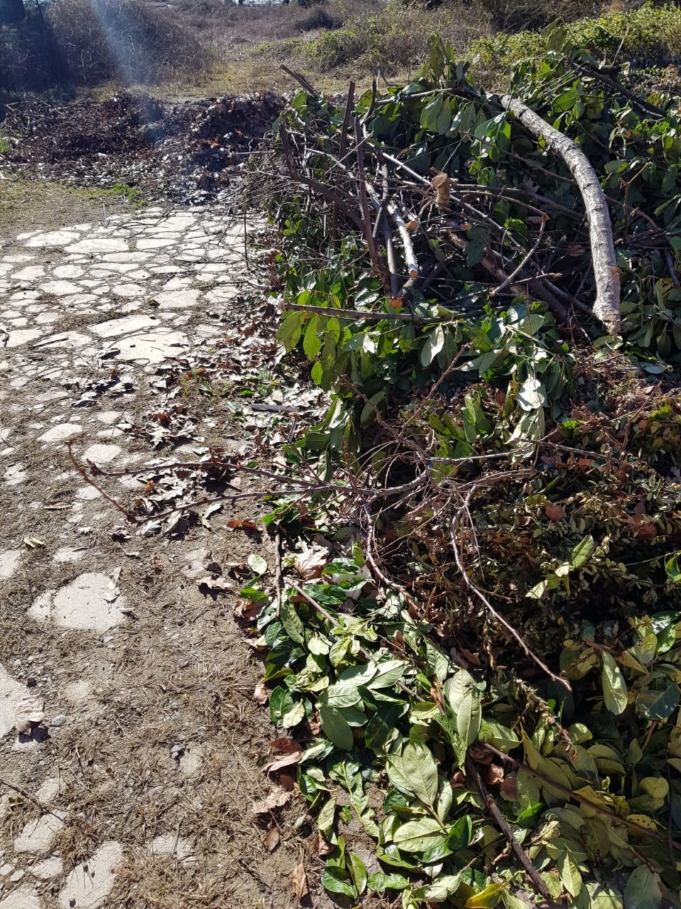 cascina bindellera 4