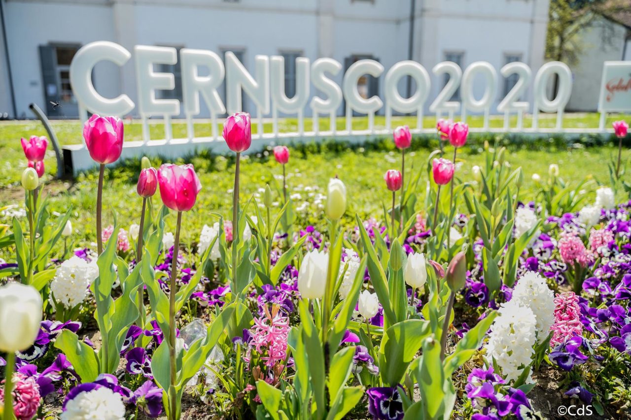 Primavera CdS (101 di 109)