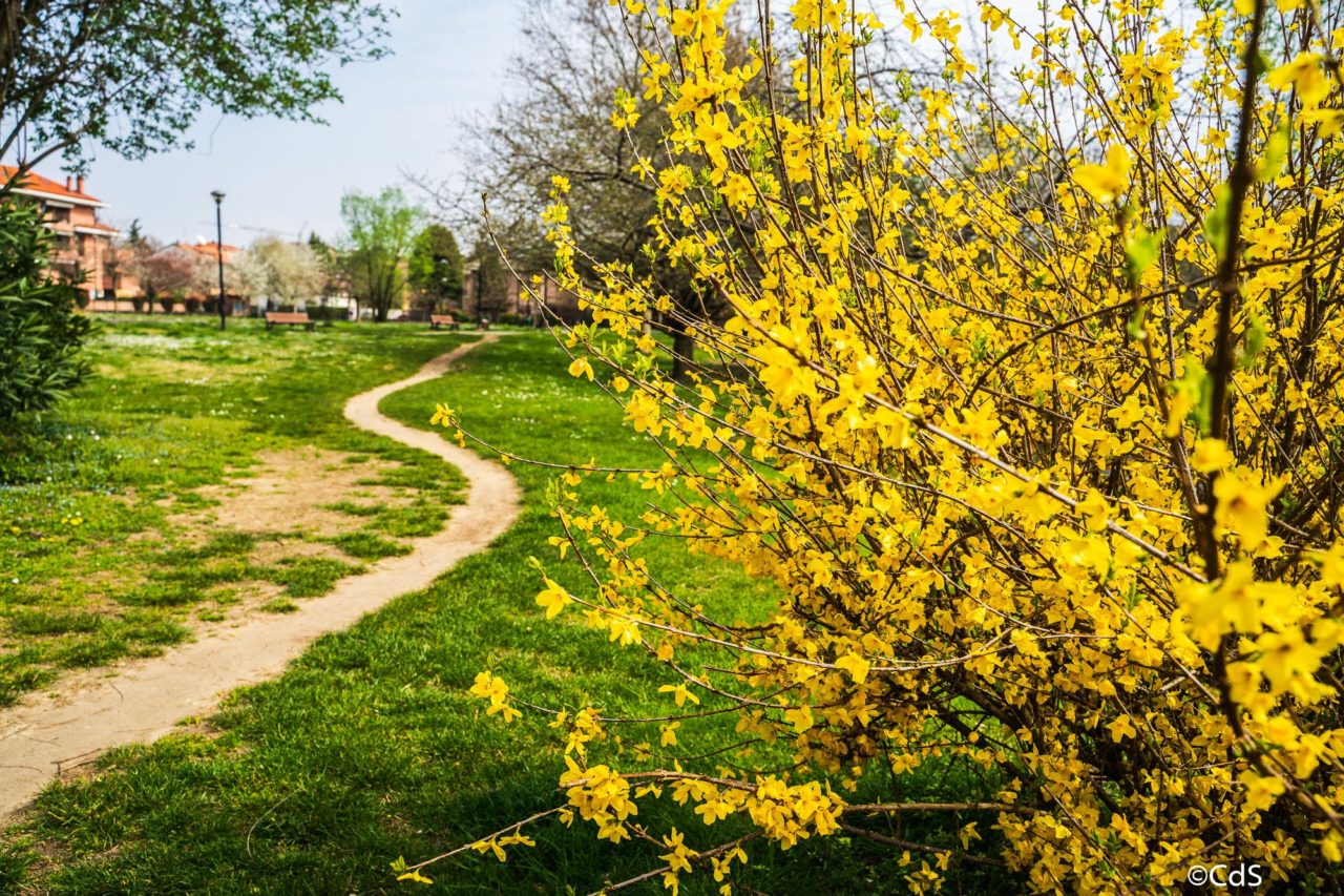 Primavera CdS (41 di 109)