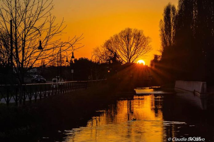 Primavera CdS (6 di 109)