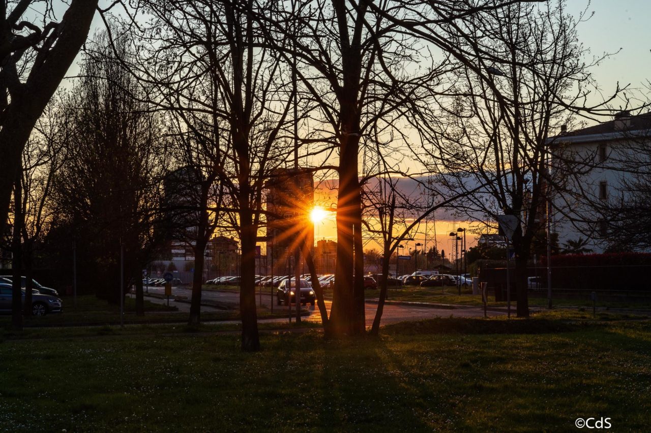 Primavera CdS (63 di 109)