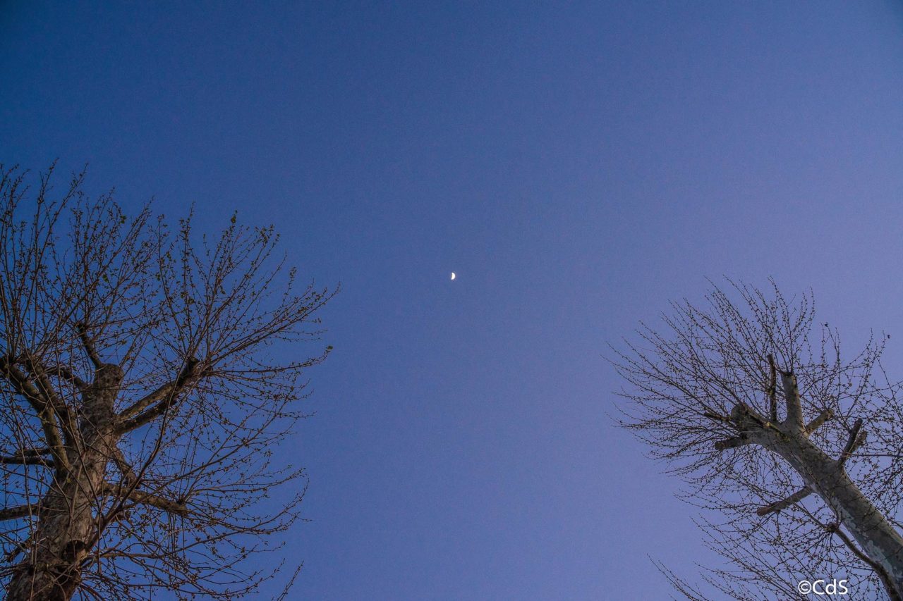 Primavera CdS (66 di 109)