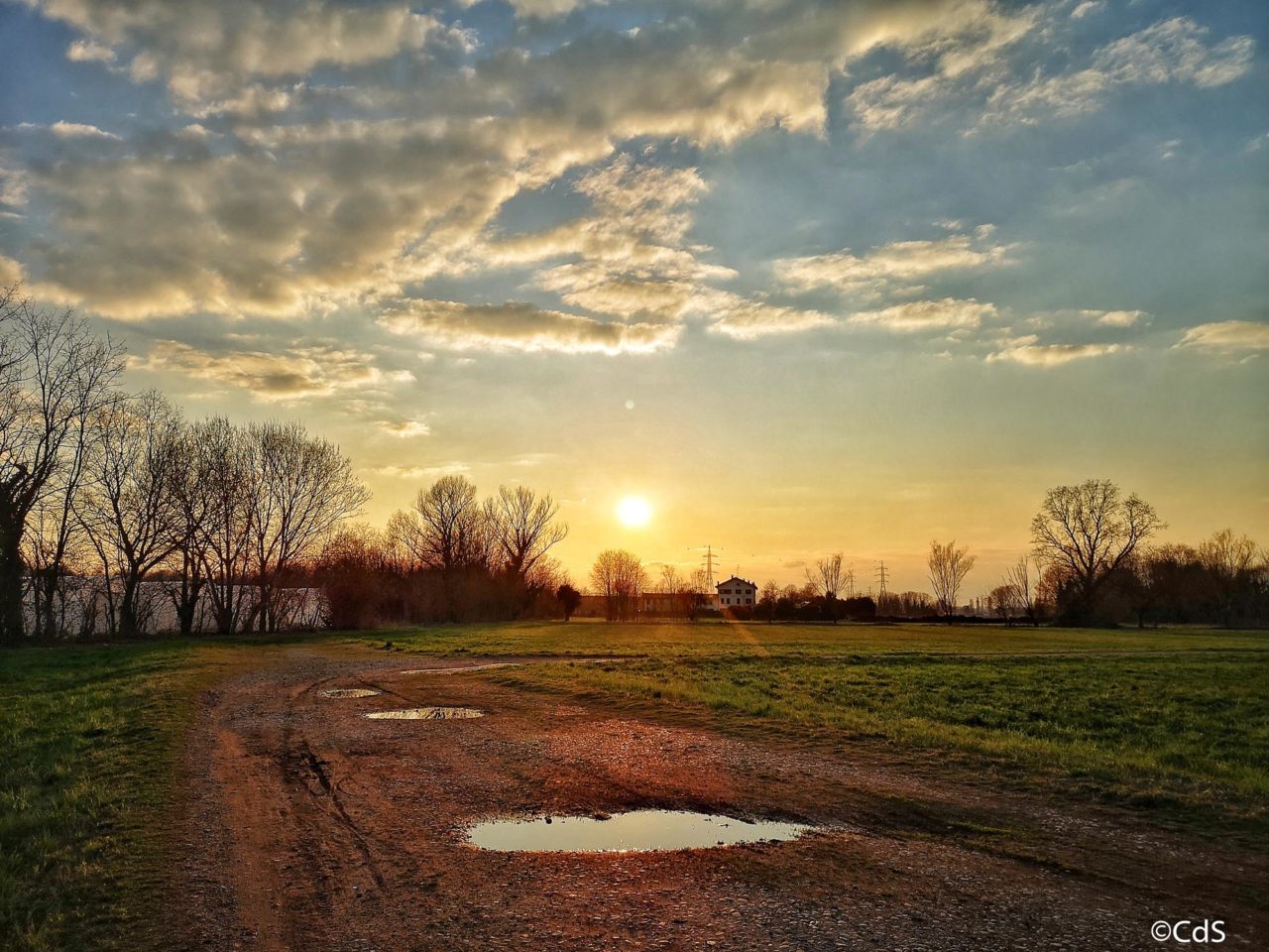 Primavera CdS (7 di 109)