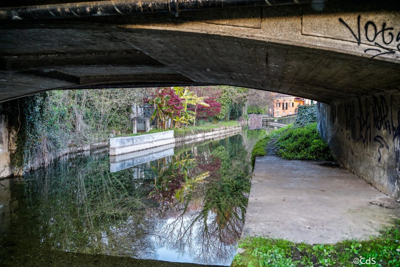 Primavera CdS (79 di 109)