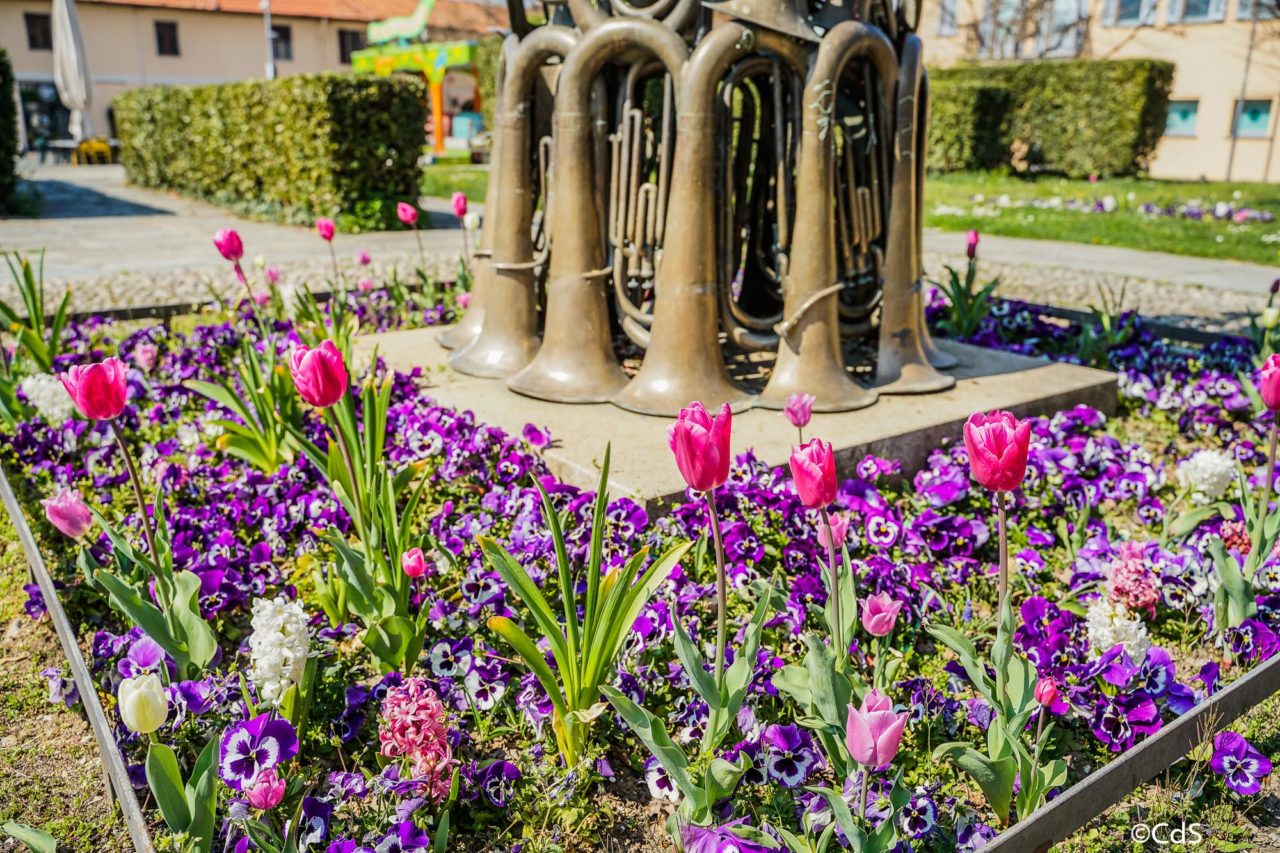 Primavera CdS (99 di 109)