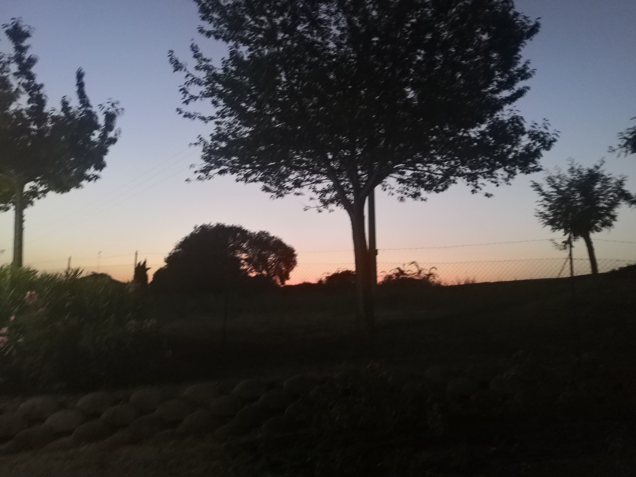 Angelica Contorsi - Cingoli