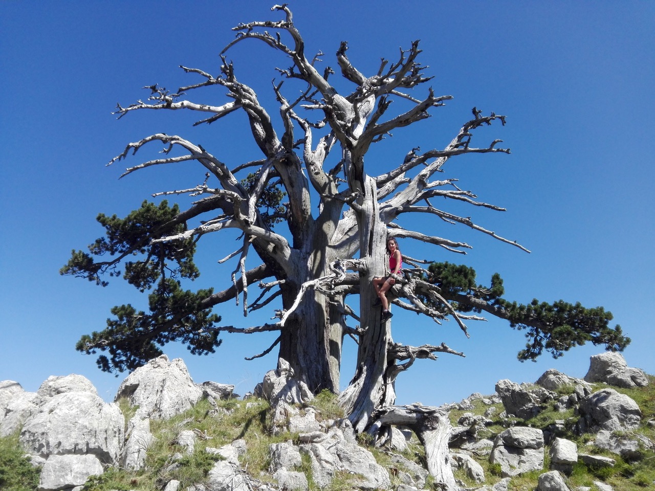 Riccardo Urciuoli - Basilicata