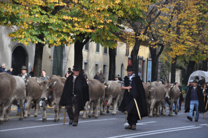 festival pastoralismo