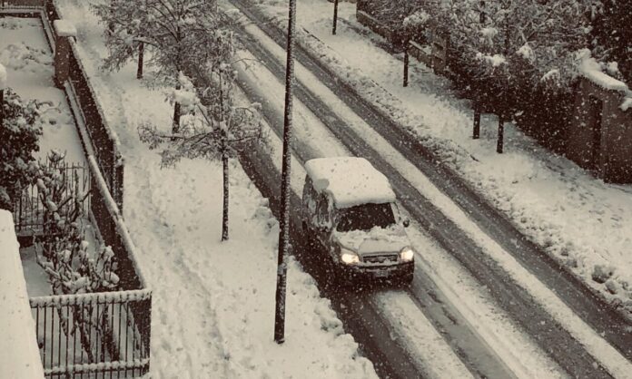 Debora-Cernusco-2-scaled