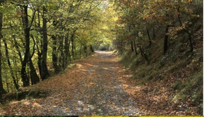 LA GHIRINGHELLA BELLINZAGO LOMBARDO primavera sul naviglio