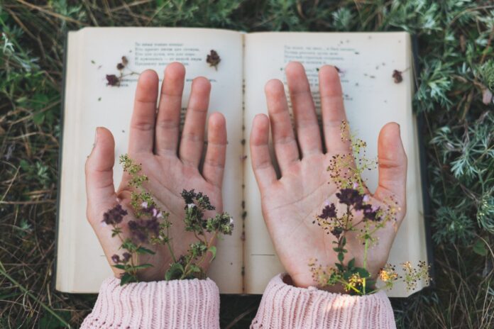 Women's hands with wild flowers on open book on grass, love to read Women's hands with wild flowers on open book on grass, love to read