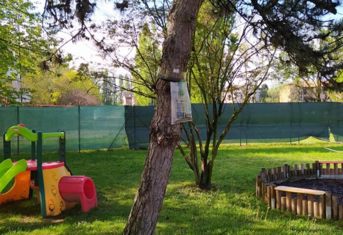 trappola processionaria