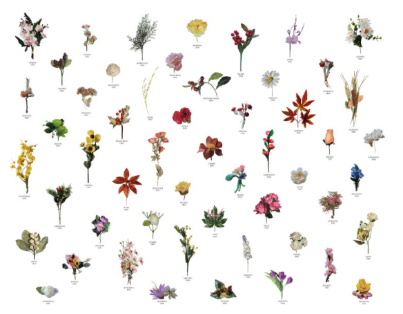 Schermata 2021-05-27 alle 11.11.34