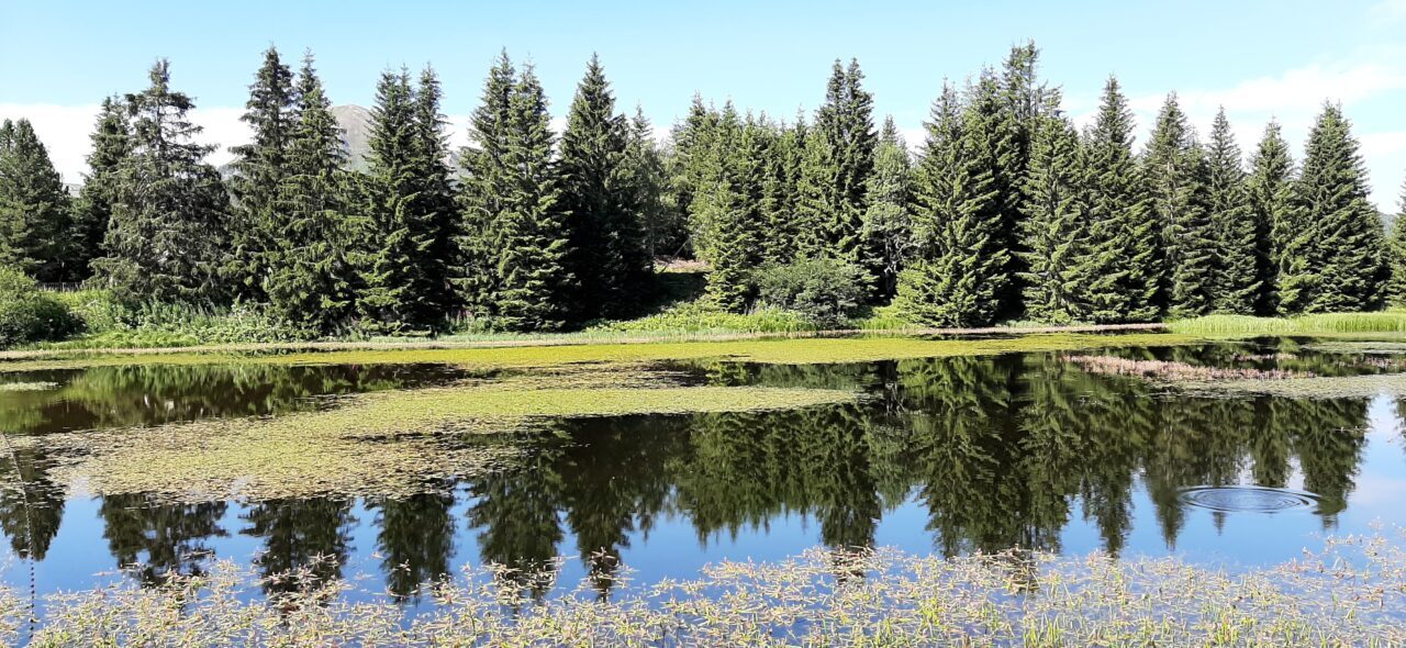 Morena Maino - laghetto passo lavaze'