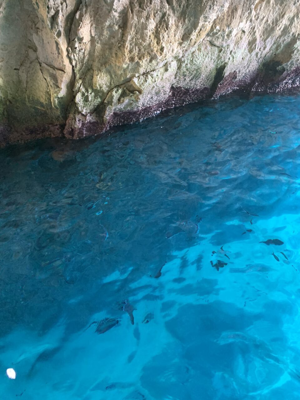 viviana maino - tremiti2