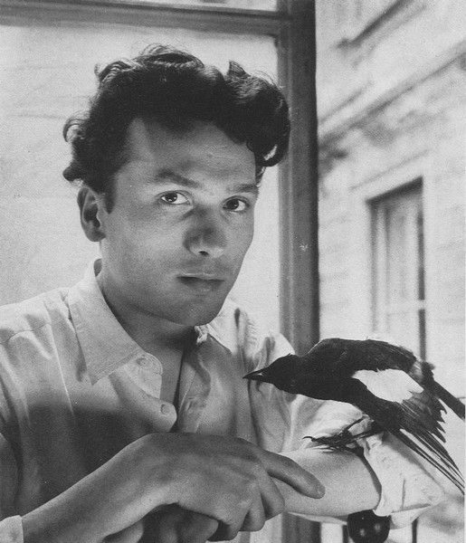 Il pittore Luca Crippa