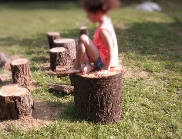 20190616-solaro_giardino-lumaca_tronchi-e1560760832925