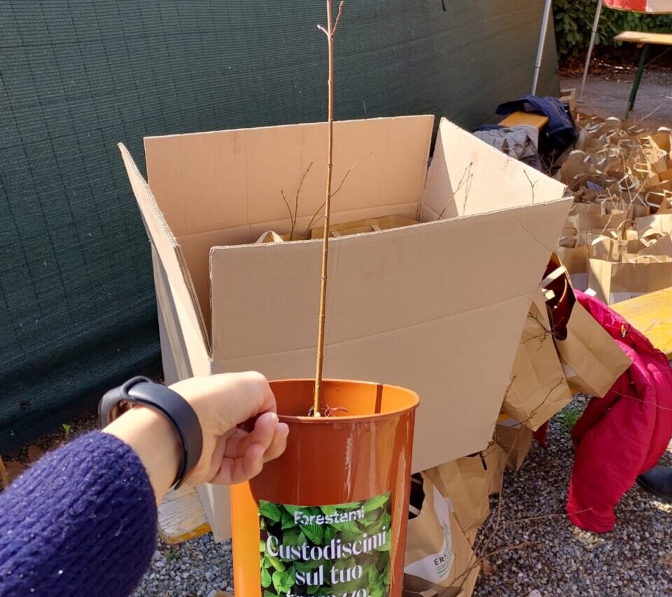 custodiscimi legambiente bussero