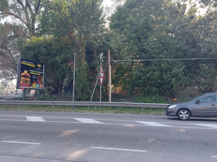 WhatsApp Image 2022-05-18 at 18.39.17 (1)