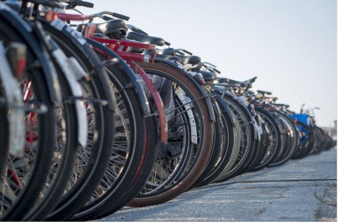 GORGONZOLA BICIPARKING