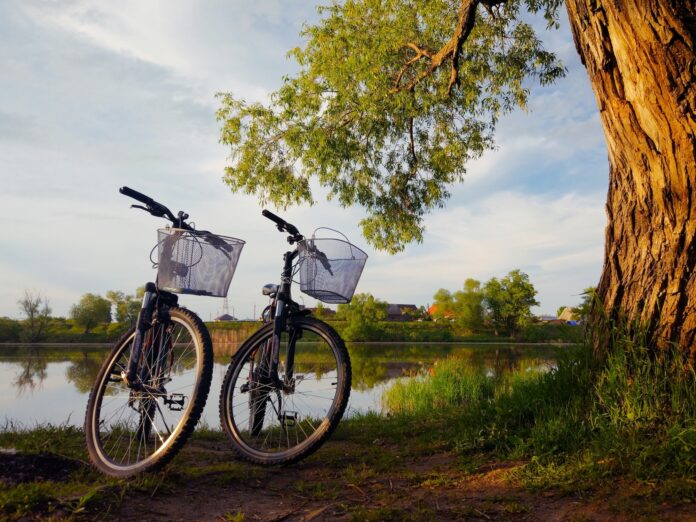 two bicycles stand by the river near a tree