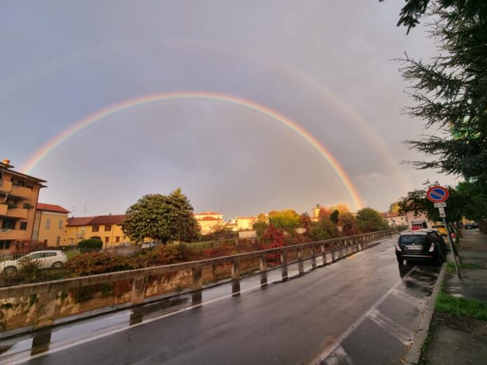 Roberto Vegetti Gorgonzola 2