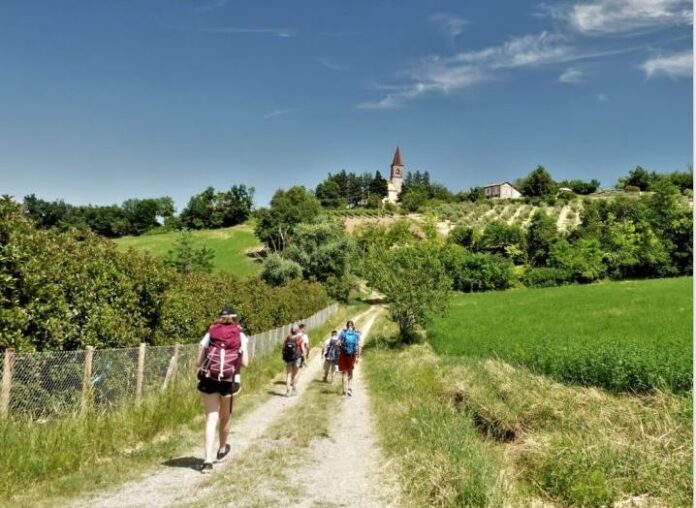 CAMMINO DI SAN COLOMBANO CAMMINO DI SAN COLOMBANO
