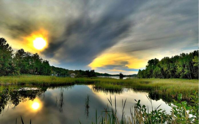 GESSATE SOCIAL CONTEST SCATTA SOSTENIBILE