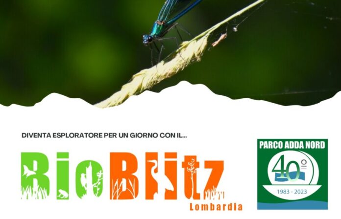 Bioblitz Lombardia 2023
