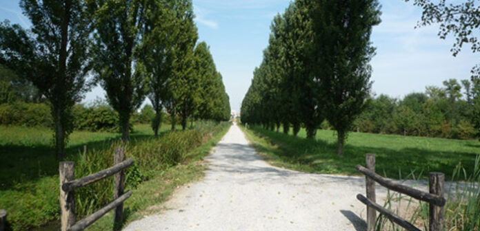 Parco della Besozza Parco della Besozza