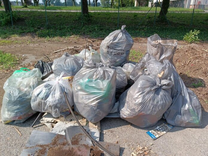 cassina plastic free