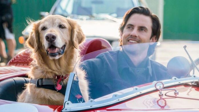 cineteatro cassina cineteatro