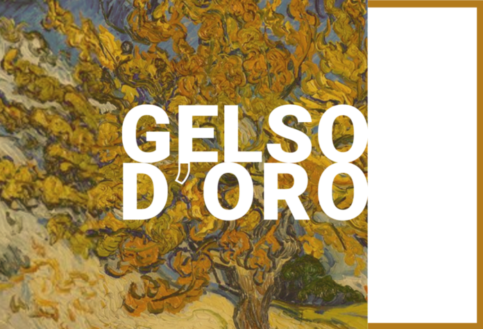 gelso d'oro